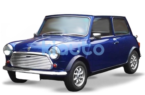 Mini Mini 1981-1993