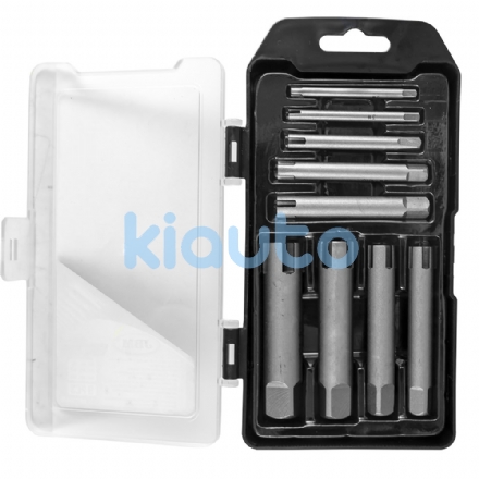  | SET EXTRACTOR DE MACHOS DE ROSCAR ROTOS